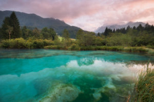 Zelenci, Quelle der Sava Dolinka, Slowenien, Europa Zelenci, Quelle der Sava Dolinka, Slowenien, Europa